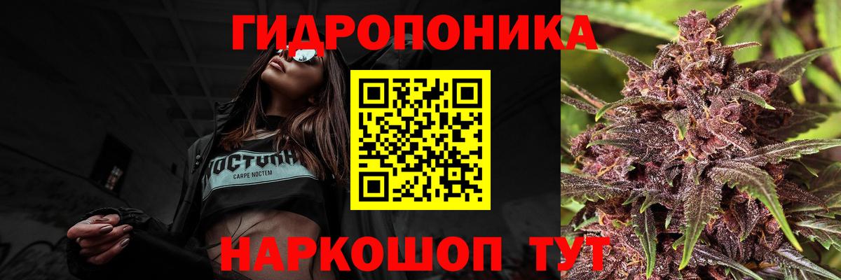 Бошки Шишки VHQ  Шишки марихуана марихуана  Вход с VPN  Канабис планчик  Карачаевск  Каннабис гибрид 